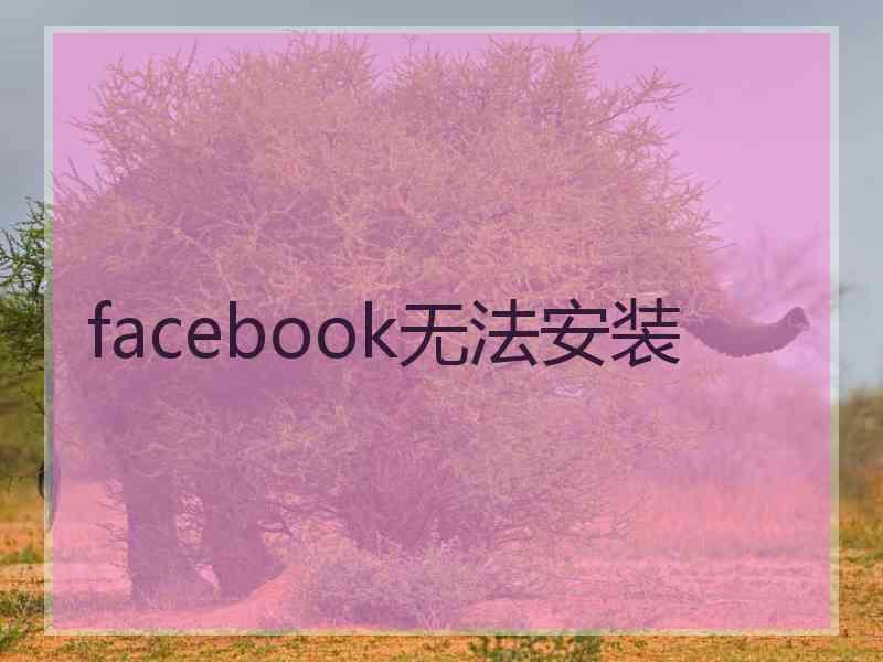 facebook无法安装