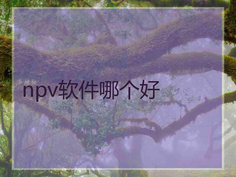 npv软件哪个好