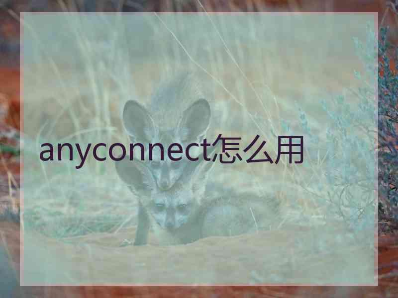 anyconnect怎么用