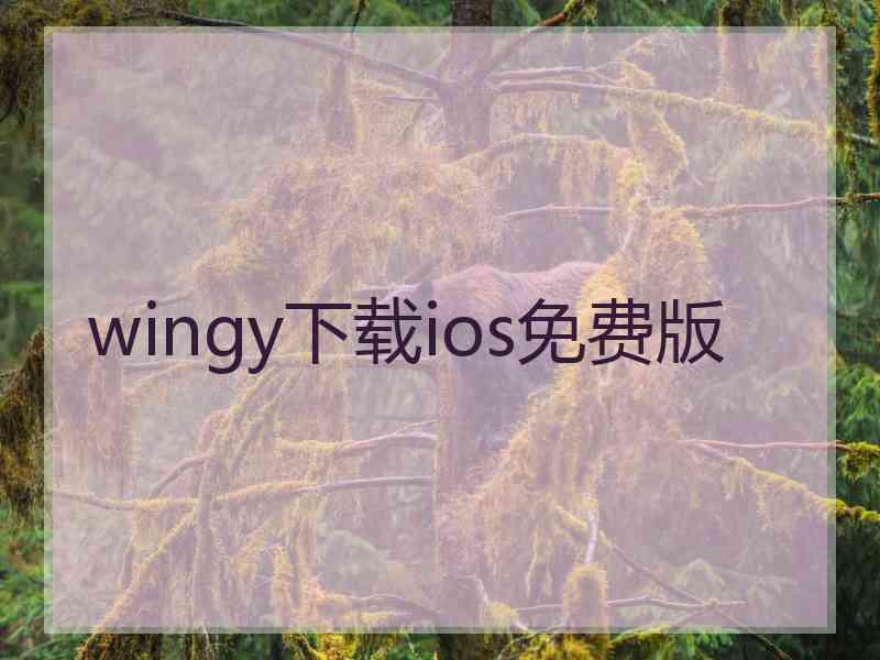 wingy下载ios免费版