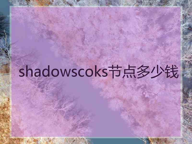 shadowscoks节点多少钱