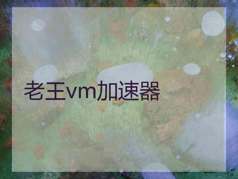 老王vm加速器