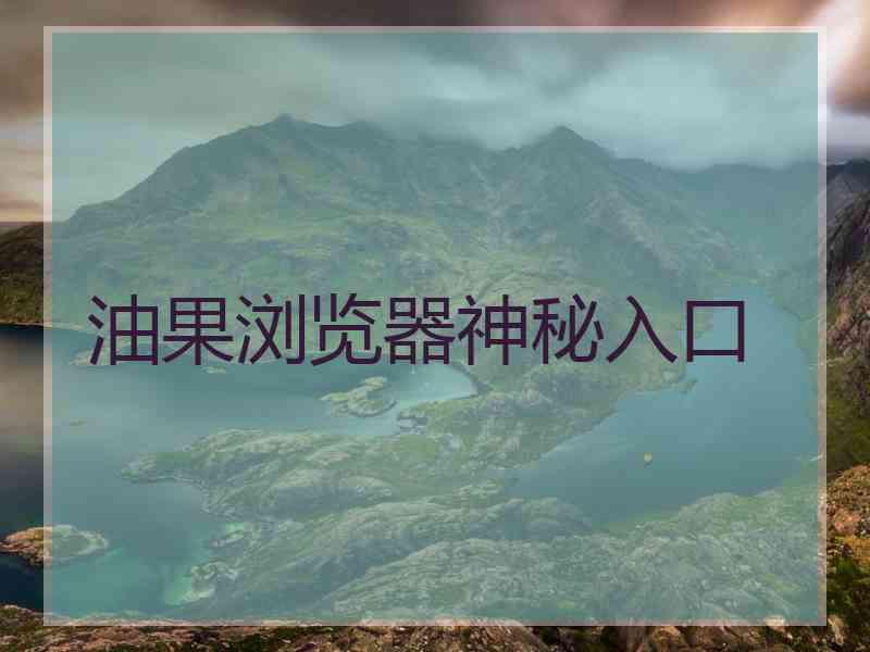 油果浏览器神秘入口