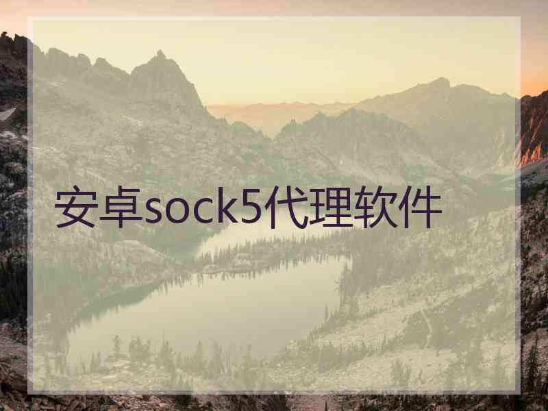 安卓sock5代理软件