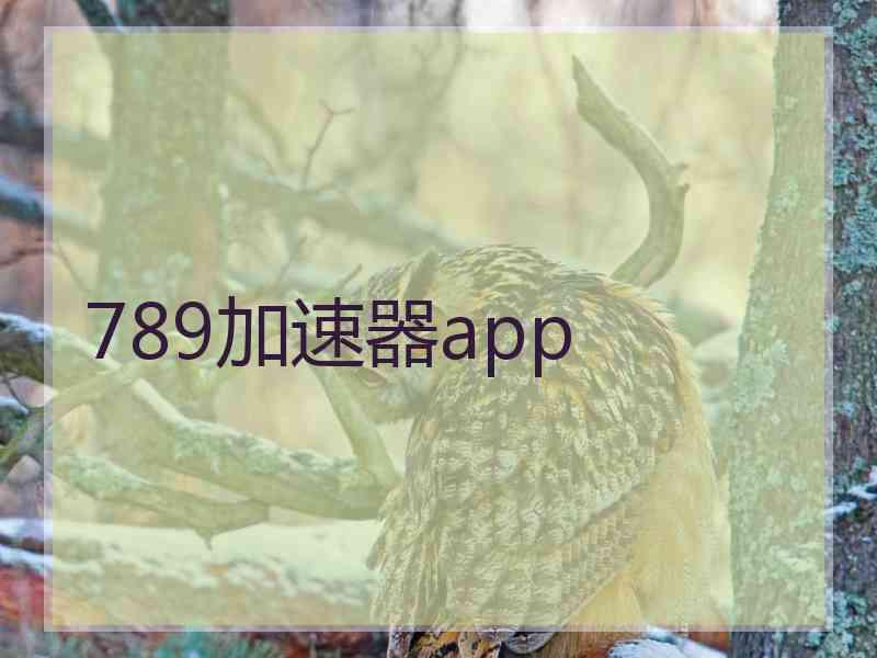 789加速器app