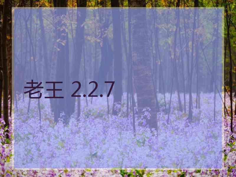 老王 2.2.7