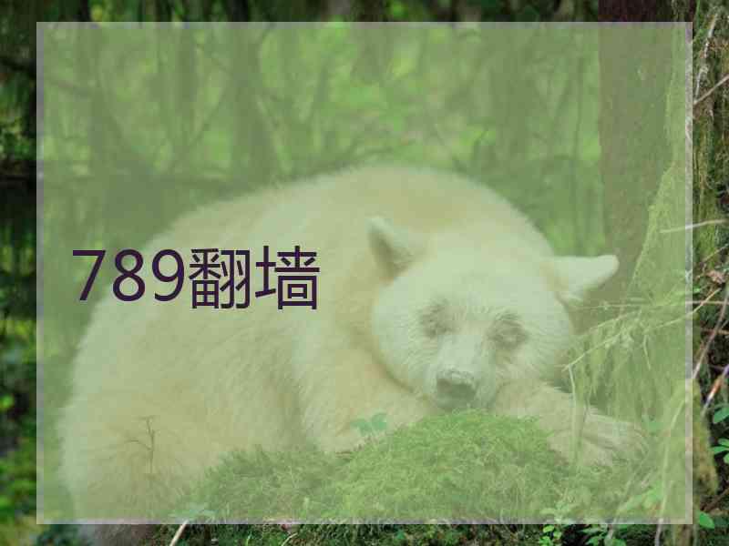 789翻墙