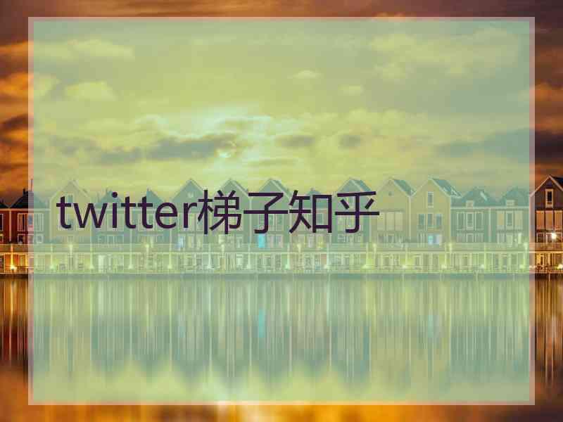 twitter梯子知乎