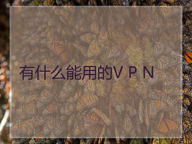 有什么能用的V P N