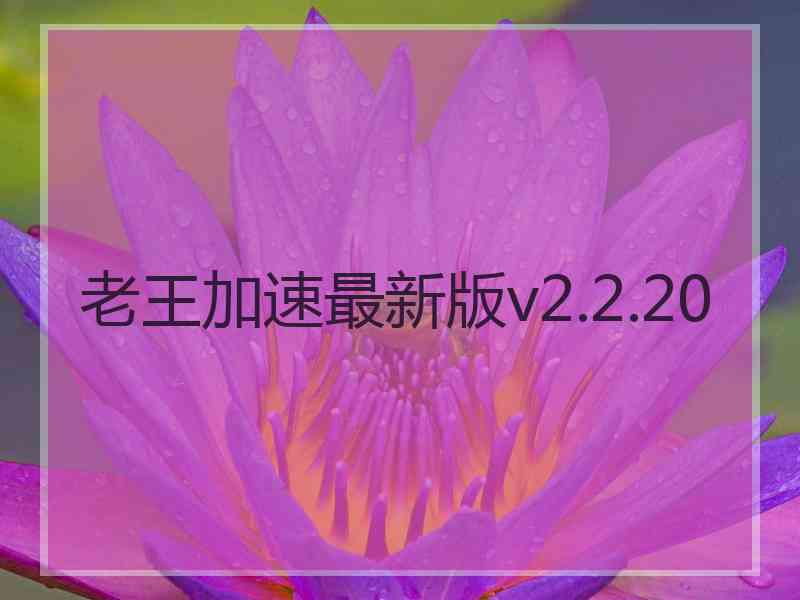 老王加速最新版v2.2.20