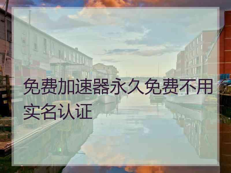 免费加速器永久免费不用实名认证