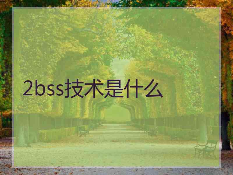 2bss技术是什么