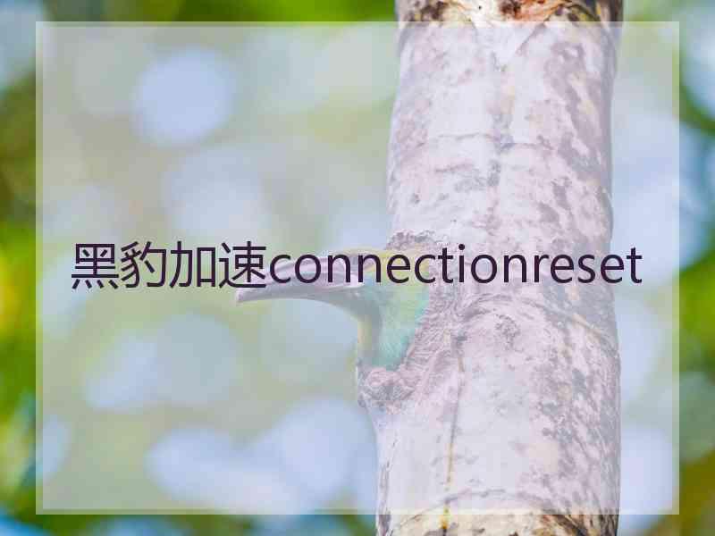 黑豹加速connectionreset