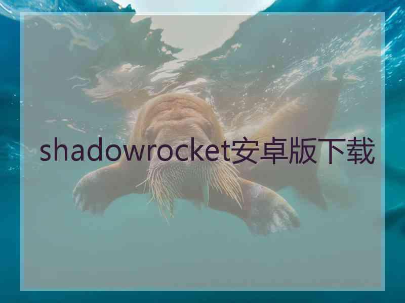 shadowrocket安卓版下载