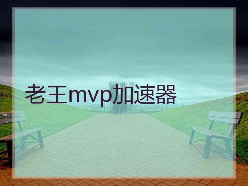 老王mvp加速器