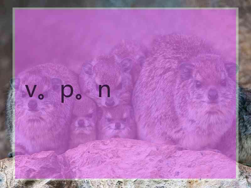 v。p。n