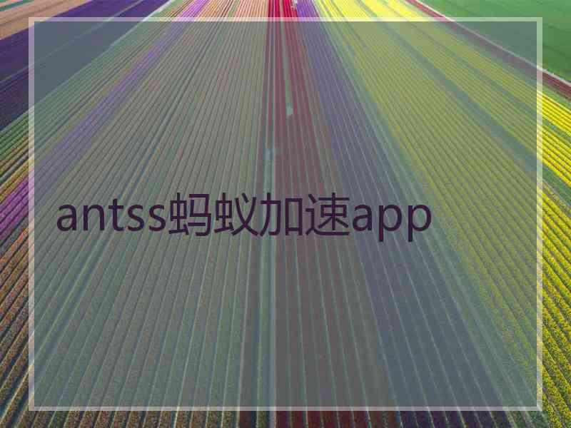 antss蚂蚁加速app