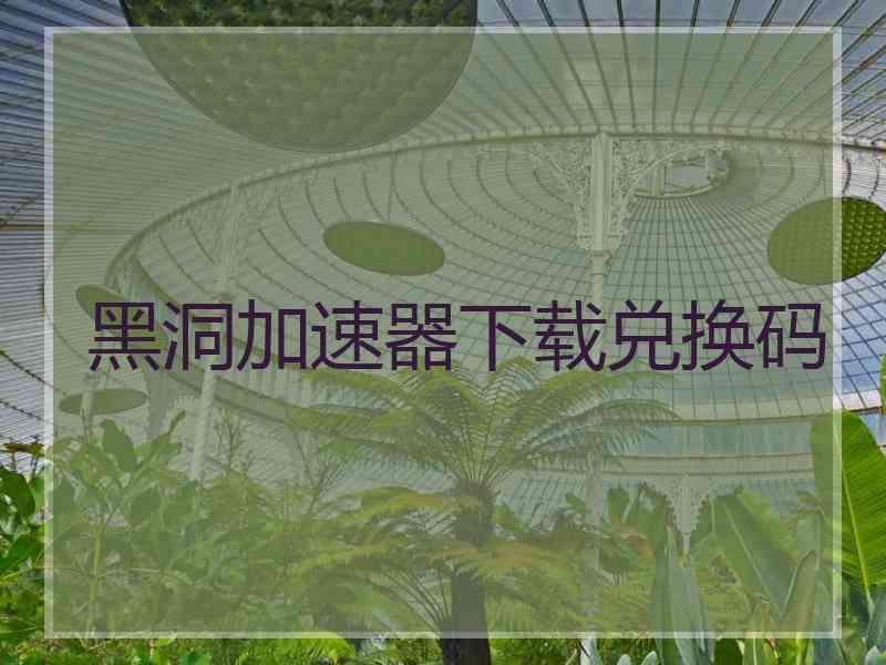 黑洞加速器下载兑换码