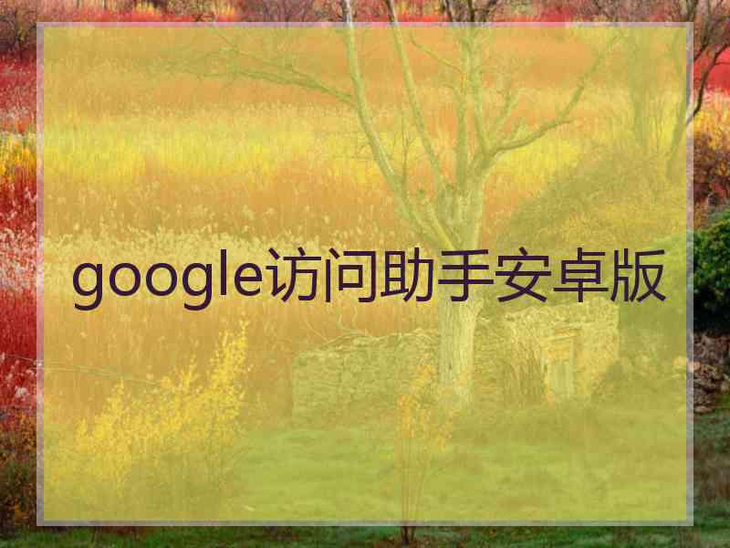 google访问助手安卓版