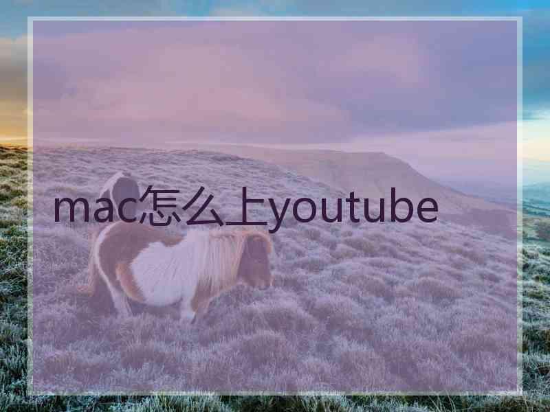 mac怎么上youtube