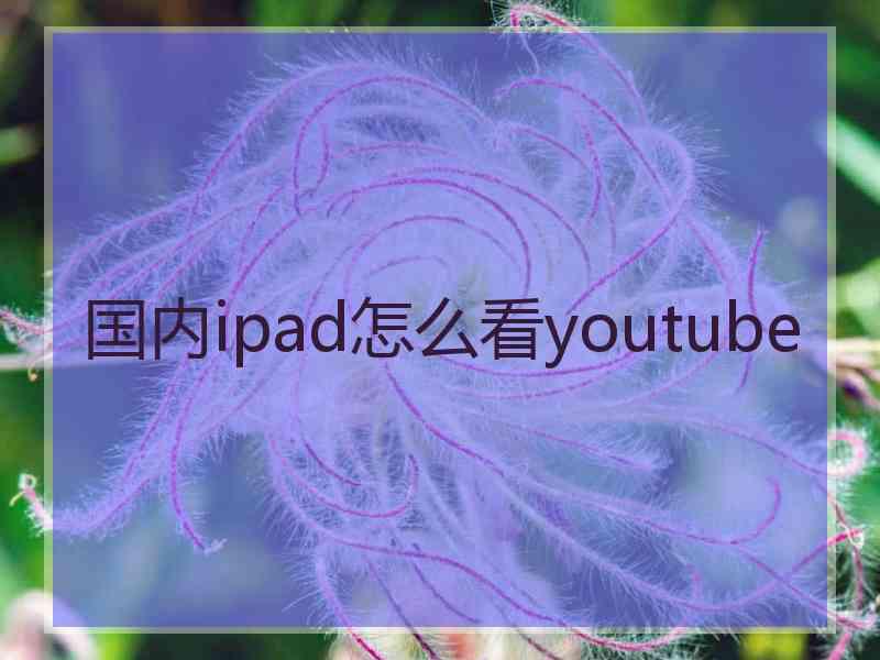 国内ipad怎么看youtube