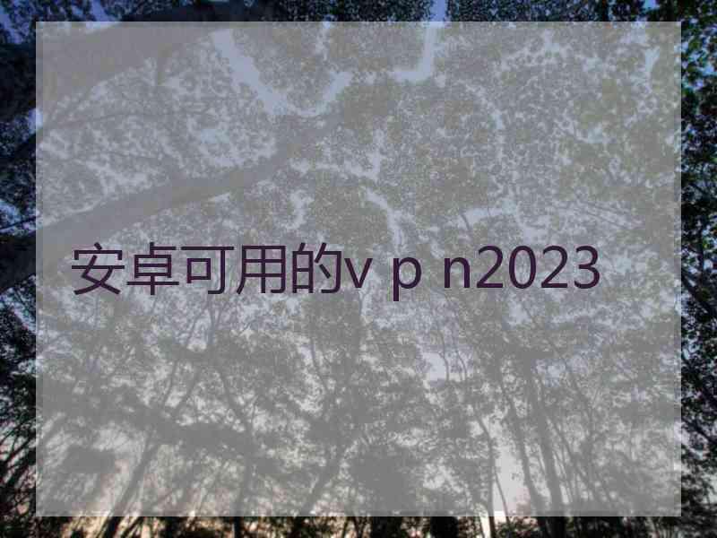 安卓可用的v p n2023