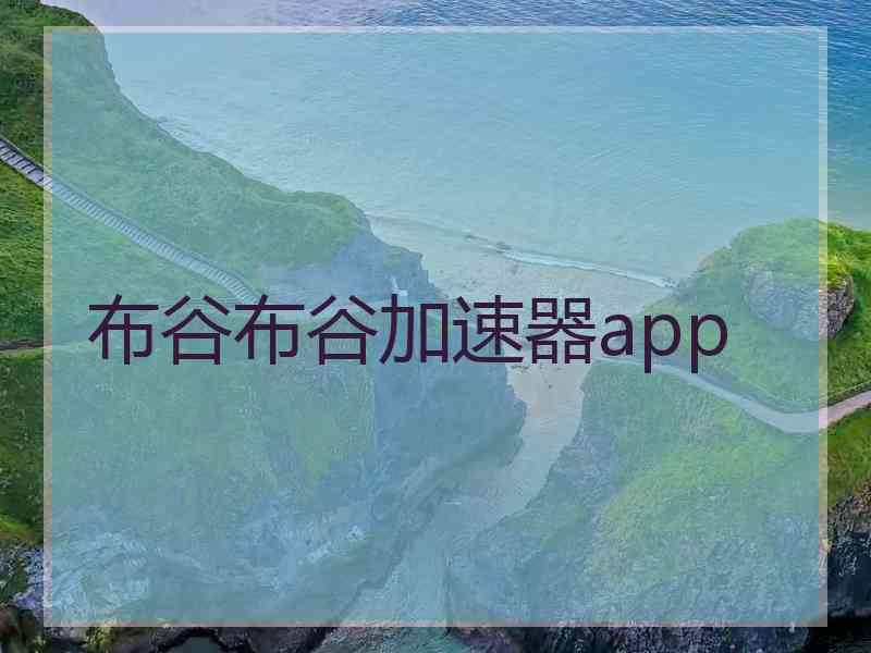 布谷布谷加速器app