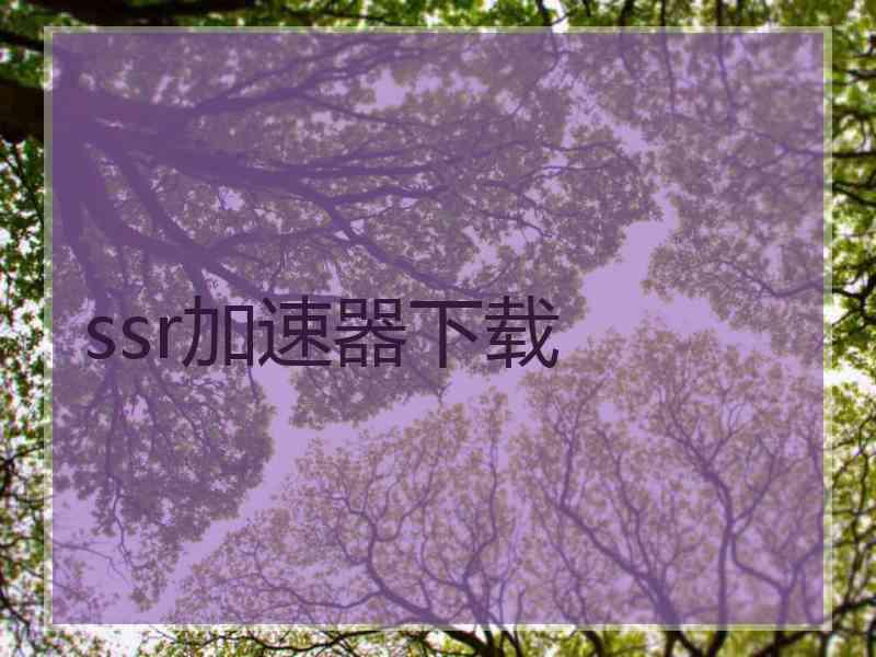 ssr加速器下载