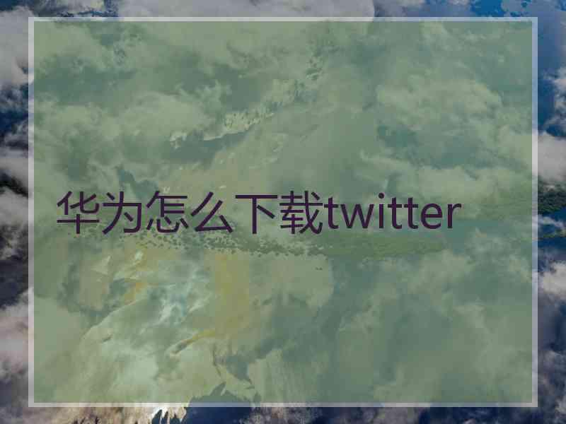 华为怎么下载twitter