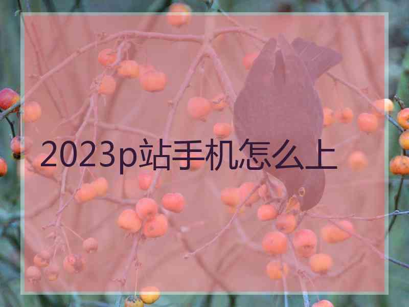 2023p站手机怎么上