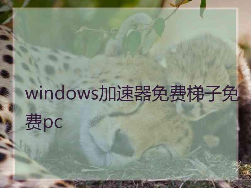 windows加速器免费梯子免费pc