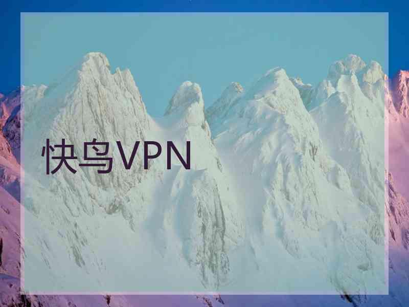 快鸟VPN