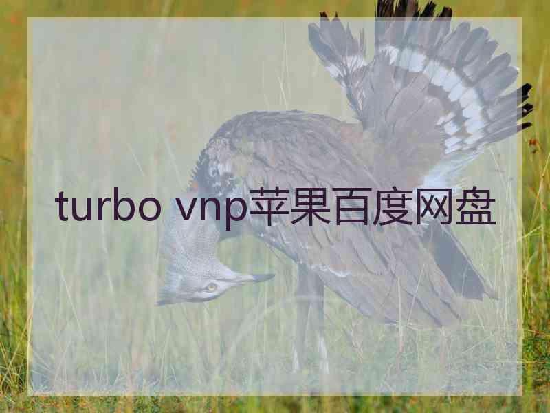 turbo vnp苹果百度网盘