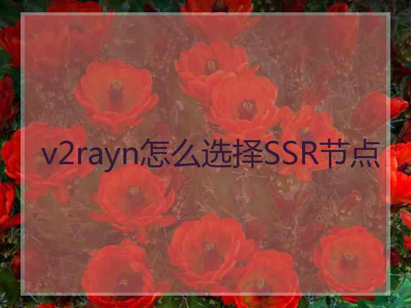 v2rayn怎么选择SSR节点