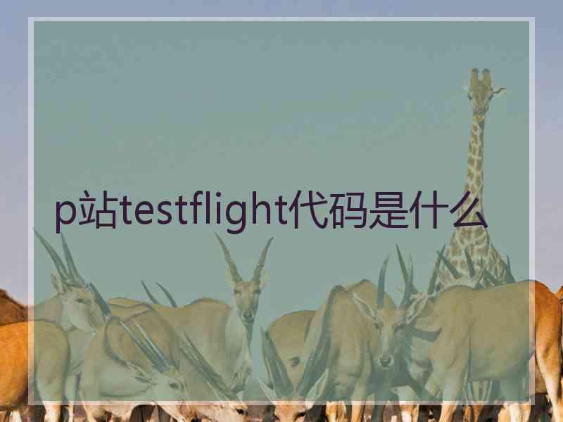 p站testflight代码是什么