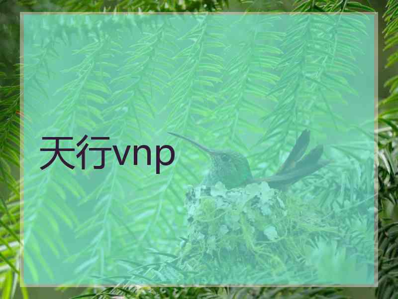 天行vnp