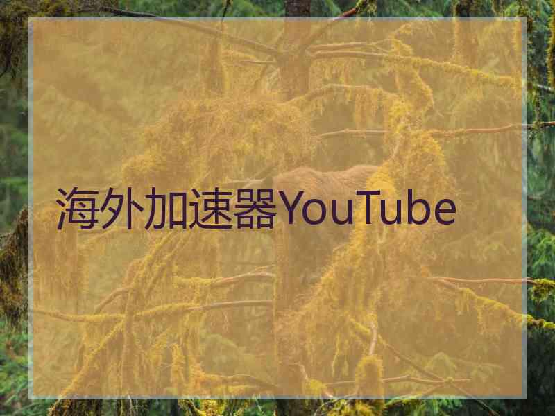 海外加速器YouTube