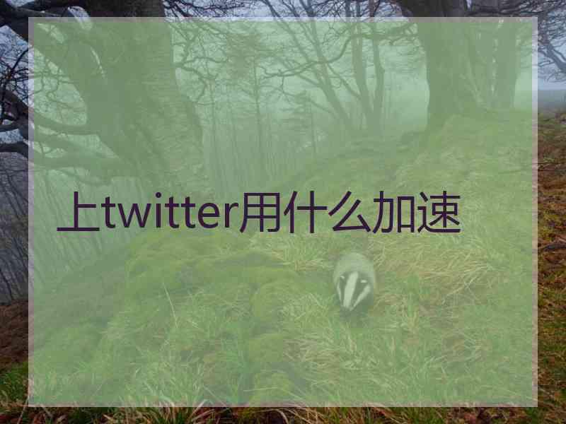 上twitter用什么加速