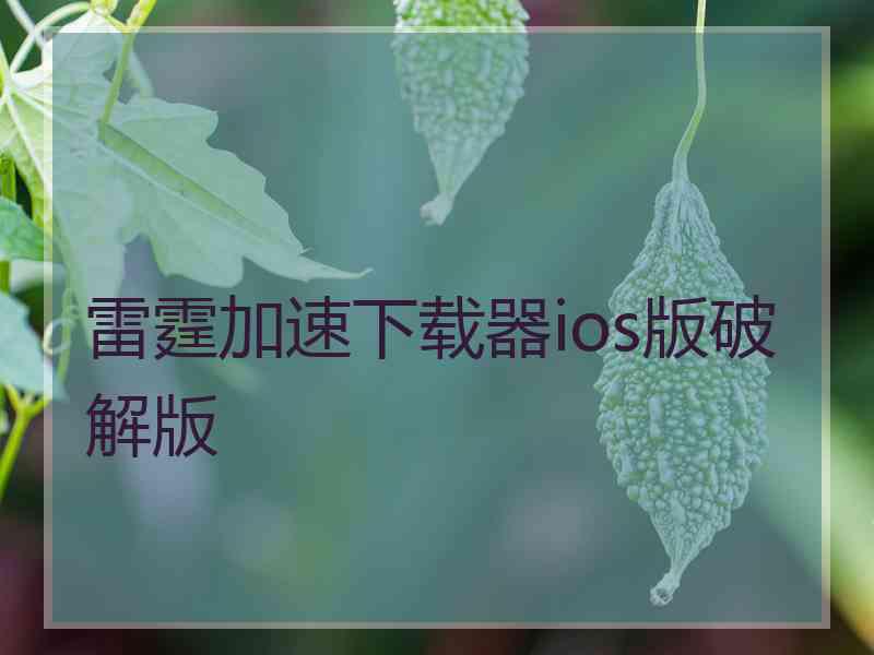 雷霆加速下载器ios版破解版