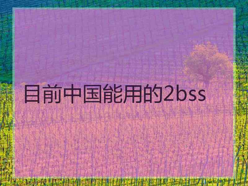 目前中国能用的2bss