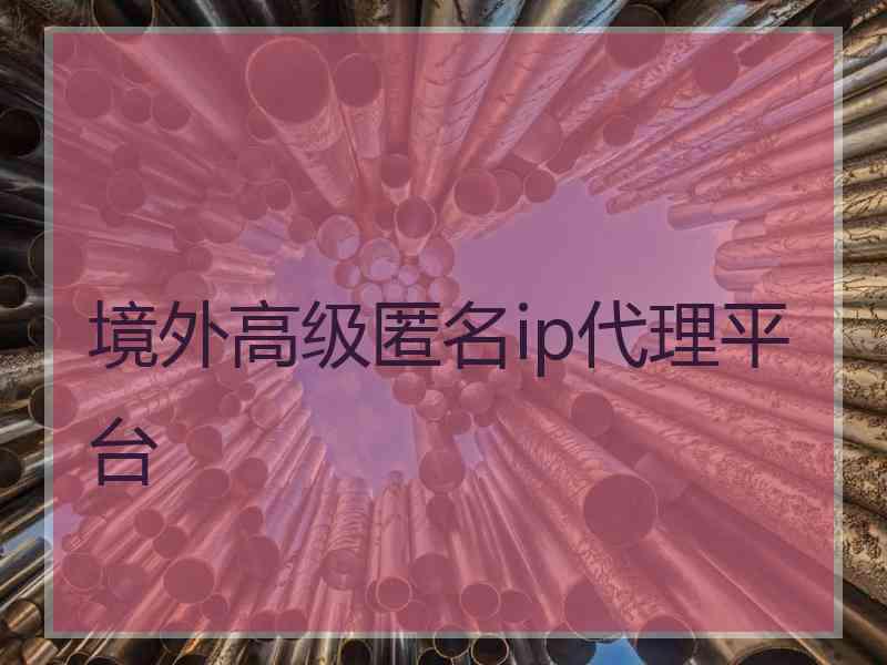 境外高级匿名ip代理平台