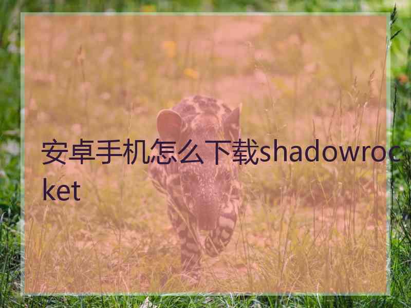 安卓手机怎么下载shadowrocket