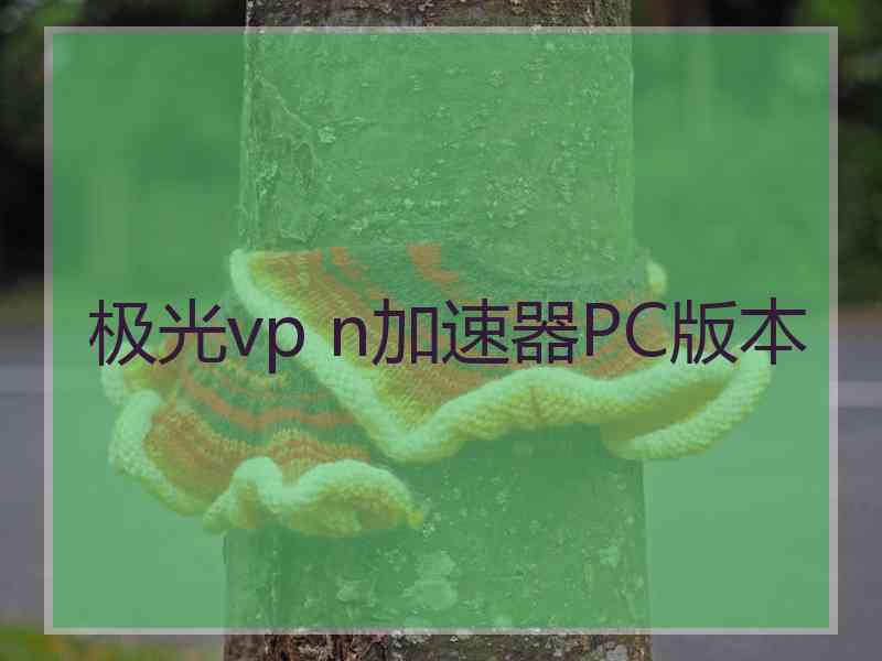 极光vp n加速器PC版本