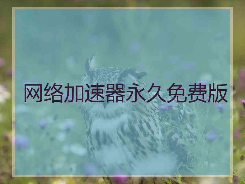 网络加速器永久免费版