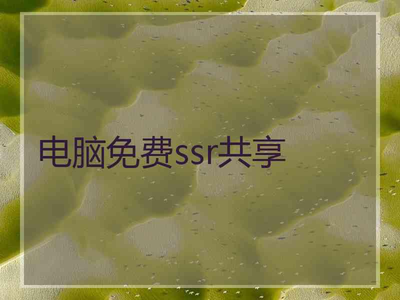 电脑免费ssr共享