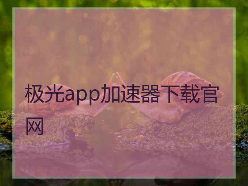 极光app加速器下载官网