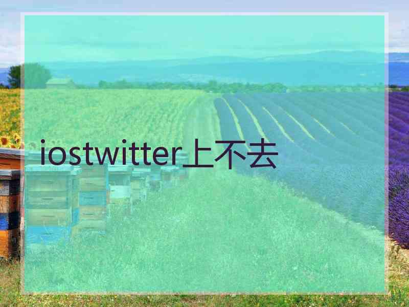 iostwitter上不去