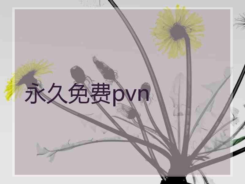 永久免费pvn