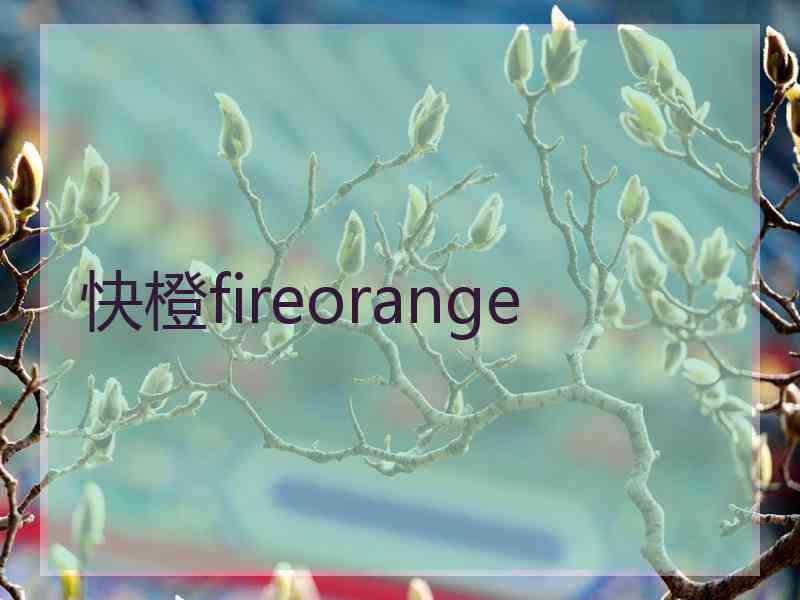 快橙fireorange