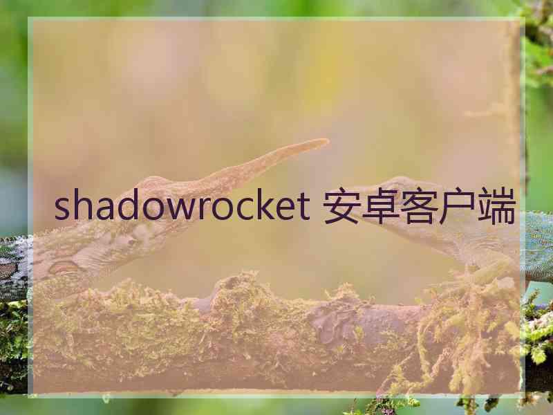 shadowrocket 安卓客户端